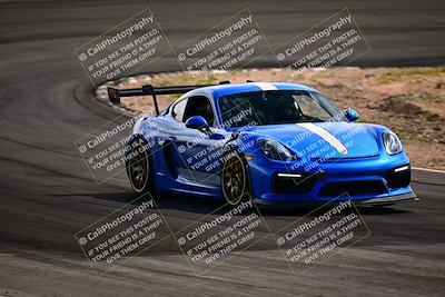 media/Feb-24-2024-Speed Ventures (Sat) [[3a91d549f3]]/Green/Session 3/Turn 3/